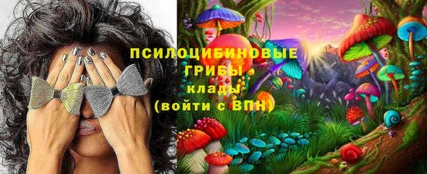 сатива Арсеньев