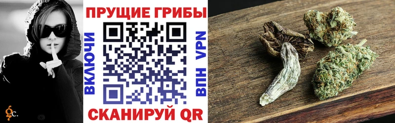 Псилоцибиновые грибы MAGIC MUSHROOMS  где найти наркотики  Подпорожье 