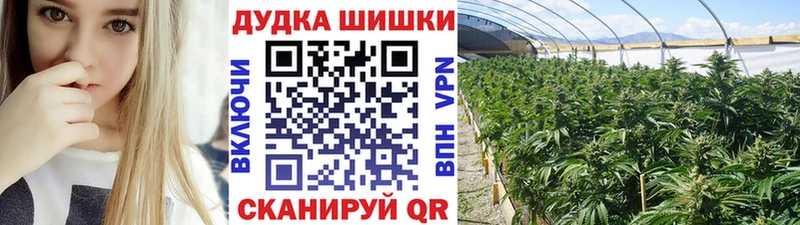 Марихуана конопля  наркота  hydra зеркало  Подпорожье 